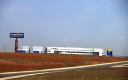 Cestral de Utilidades 6 th_1